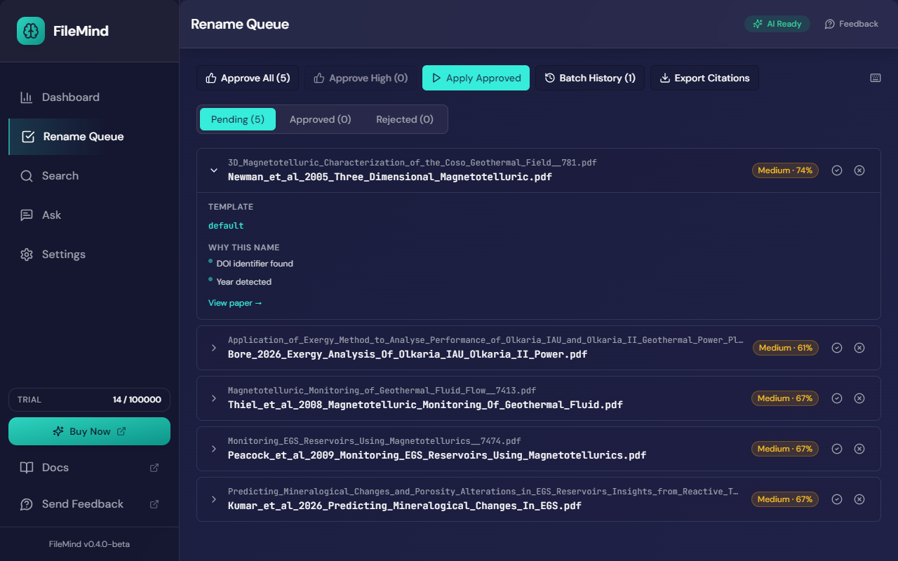 An expanded proposal showing the template name and a 'Why this name' list: DOI identifier found, Year detected